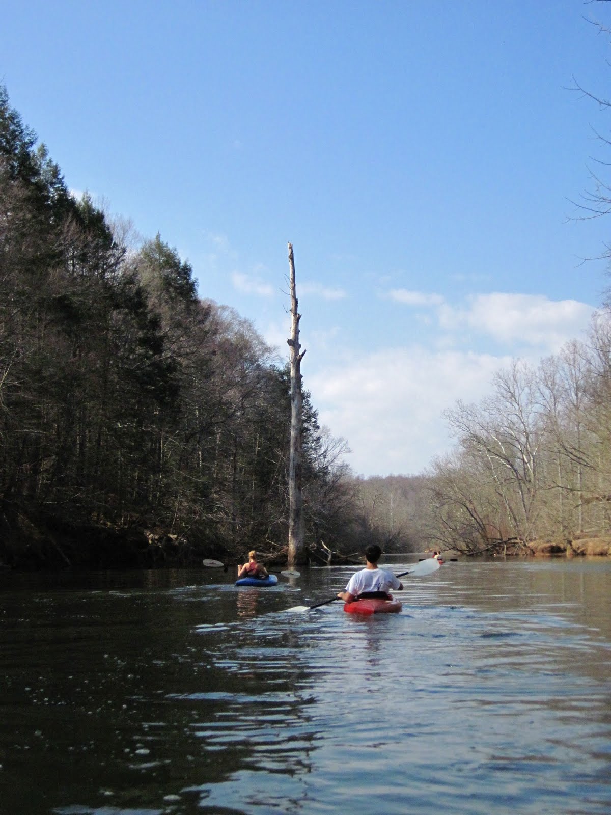 Life, Love, and Outside Fountainhead Regional Park, VA