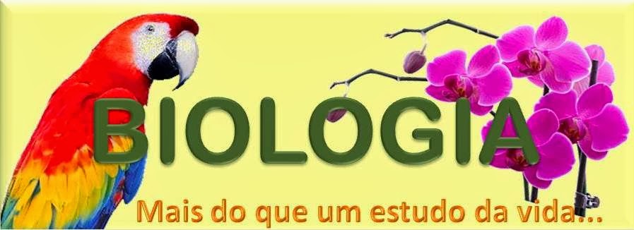 Blog Biologia