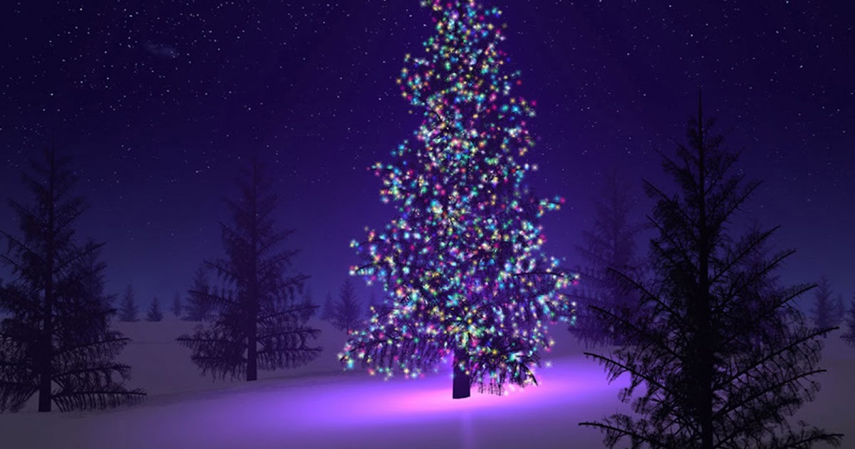 wallpaper: Christmas Trees Wallpapers