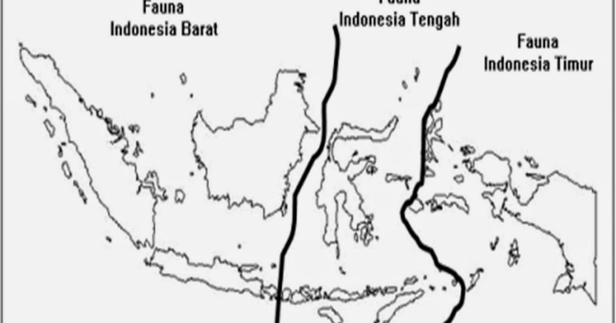 Katalog Geografi Persebaran Flora Dan Fauna Di Indonesia Katalog Geografi Persebaran Flora Dan Fauna Di Indonesia