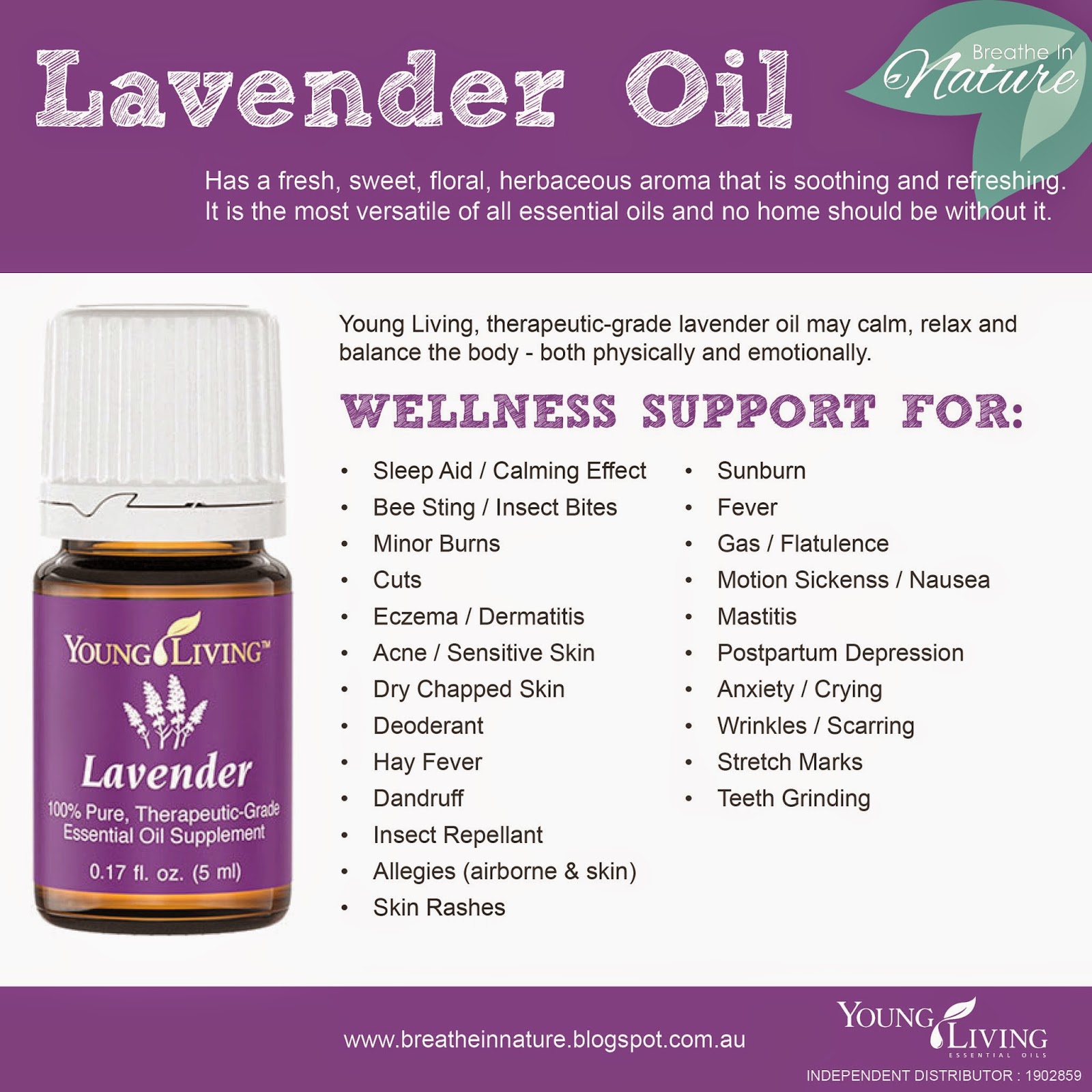 Lavender Essential Oil Young Living Benefits at Faustina Baptist blog