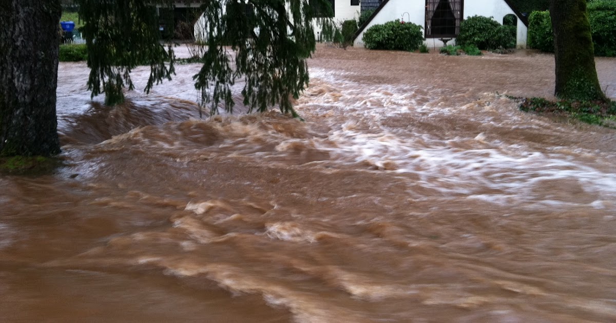 Flooding on Croisan Creek