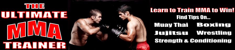 MMA Training - Mixed Martial Arts Training