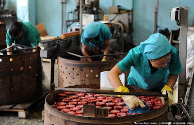 proses mengetin sayur13