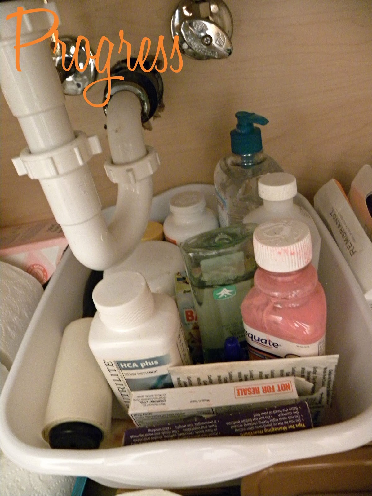 Growing the home Spring cleaning a bathroom