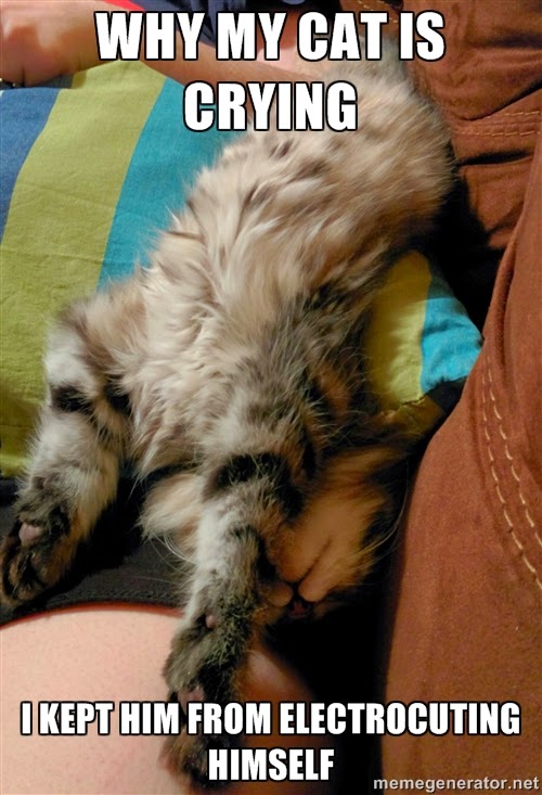 The 17 Best Relationship Memes