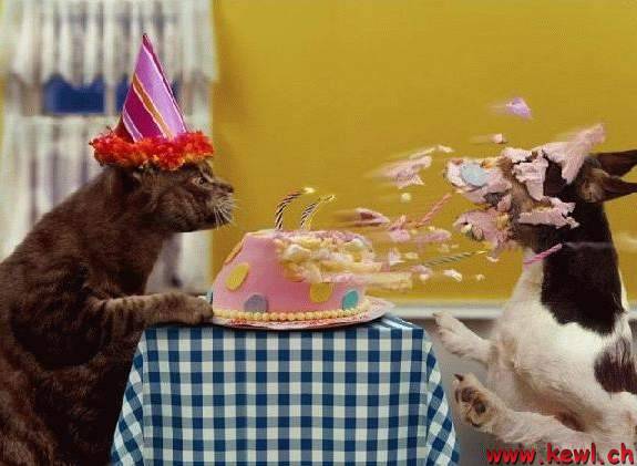 Verspateter Geburtstagsgruss Geburtstag Vergessen Nachtraglich