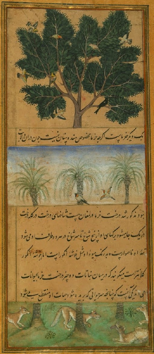 Persian manuscript miniature of date palms, birds and dogs
