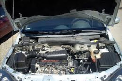 montana 2016 sport