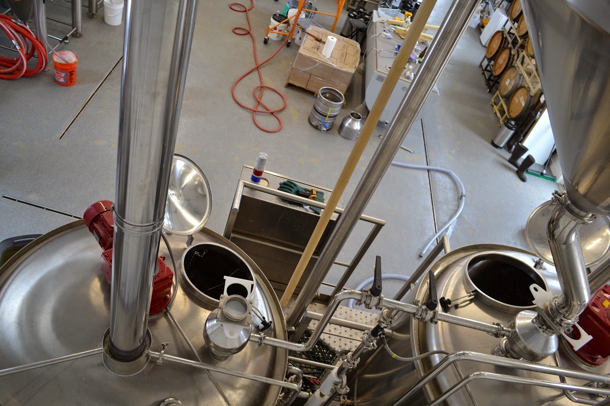 how to brew your first beer pdf