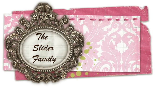 The Slider Family