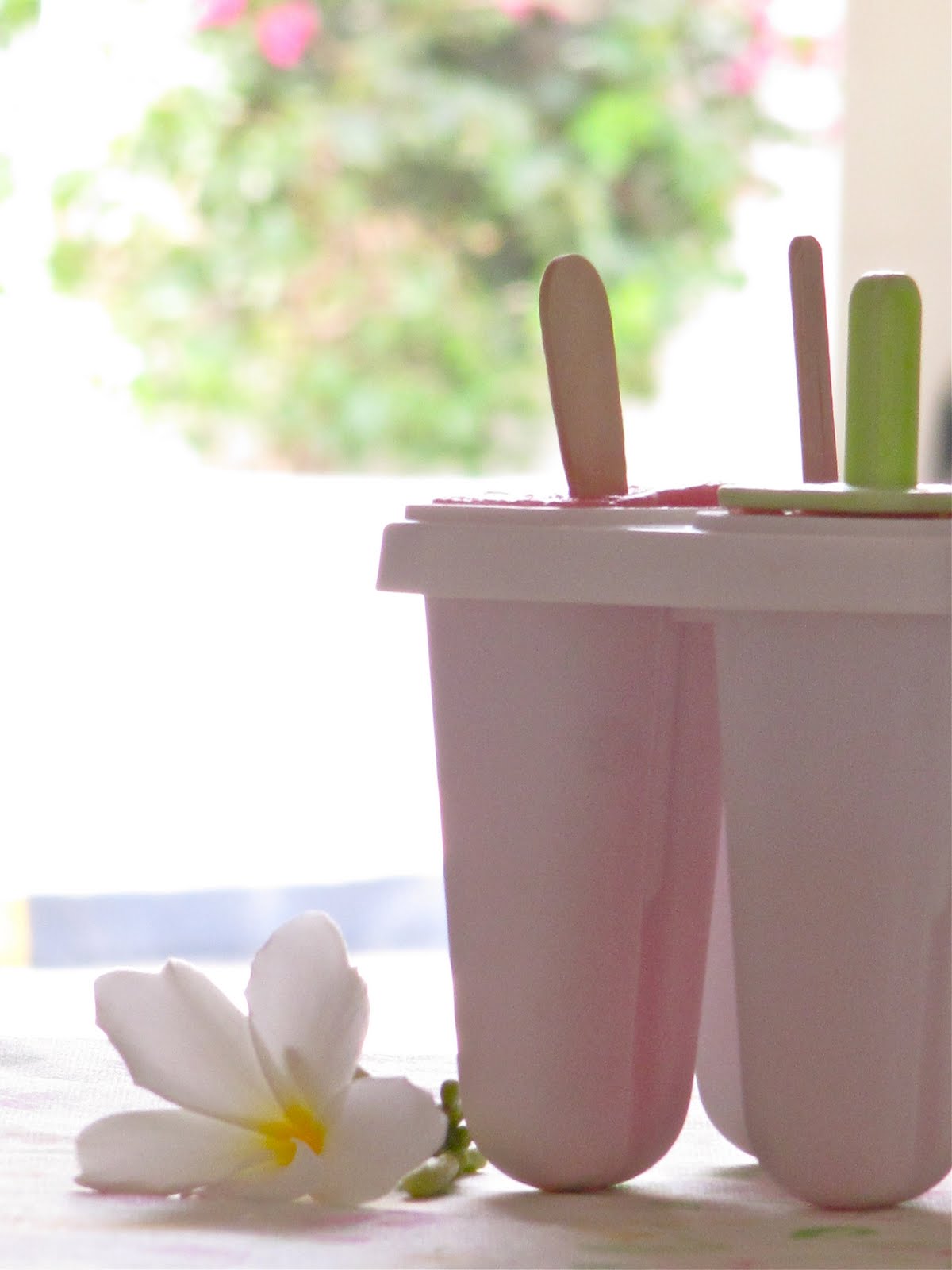 Plateful Popsicles — juicy frozen fruits on a stick — a taste of summer