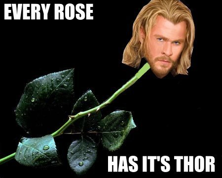 Every+rose+has+its+Thor_8a6cf8_3874779.j