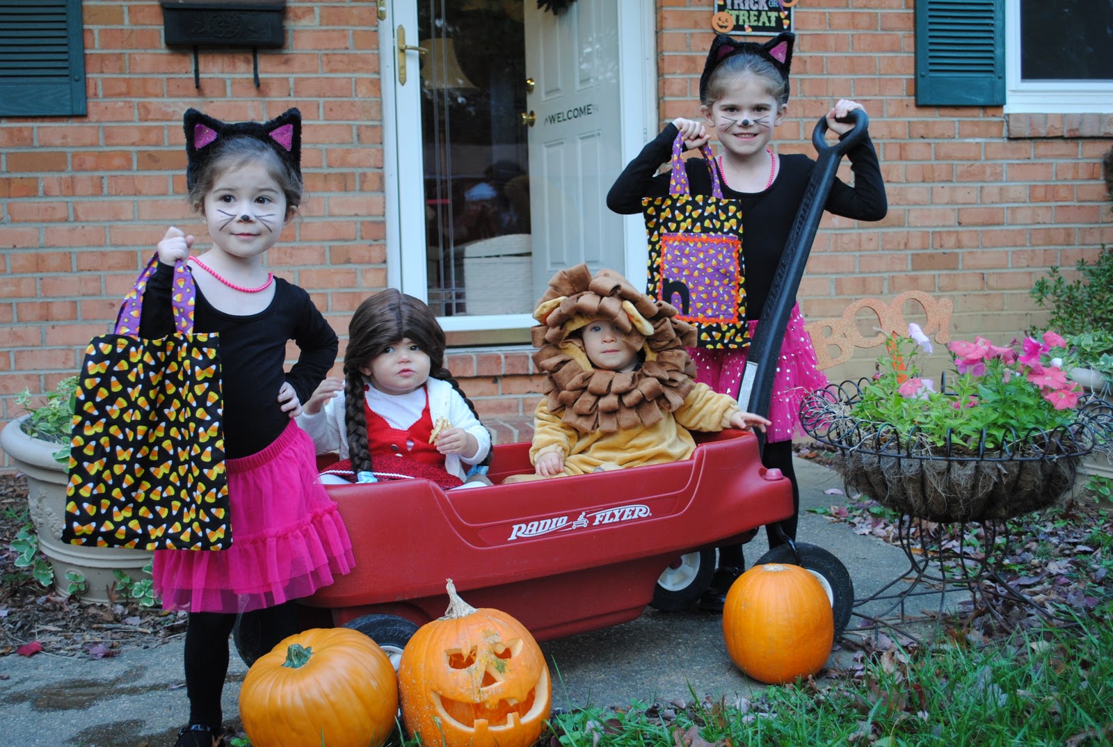 Serenity Now Candy Hangover