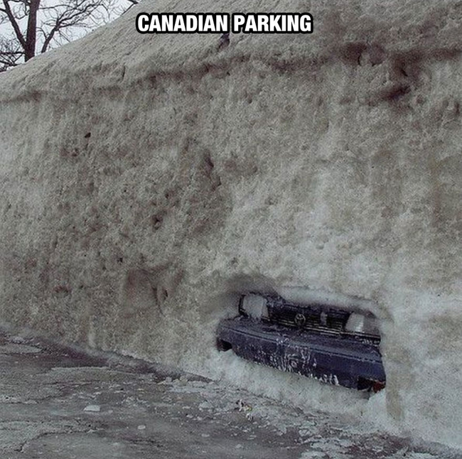 That's cold. - Life In Canada Is So Much Different, And Colder, Than Life Anywhere Else. That's cold. - Life In Canada Is So Much Different, And Colder, Than Life Anywhere Else.