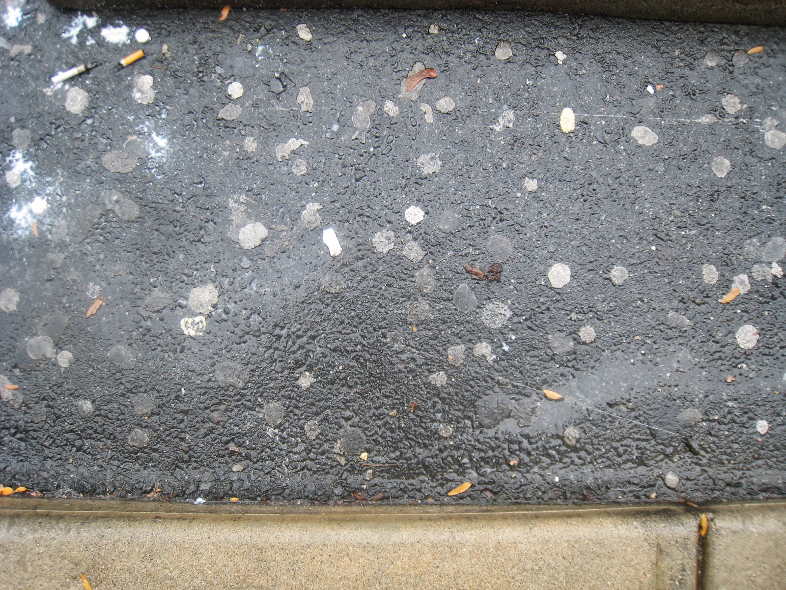 Maynard Life Outdoors and Hidden History of Maynard October 2013