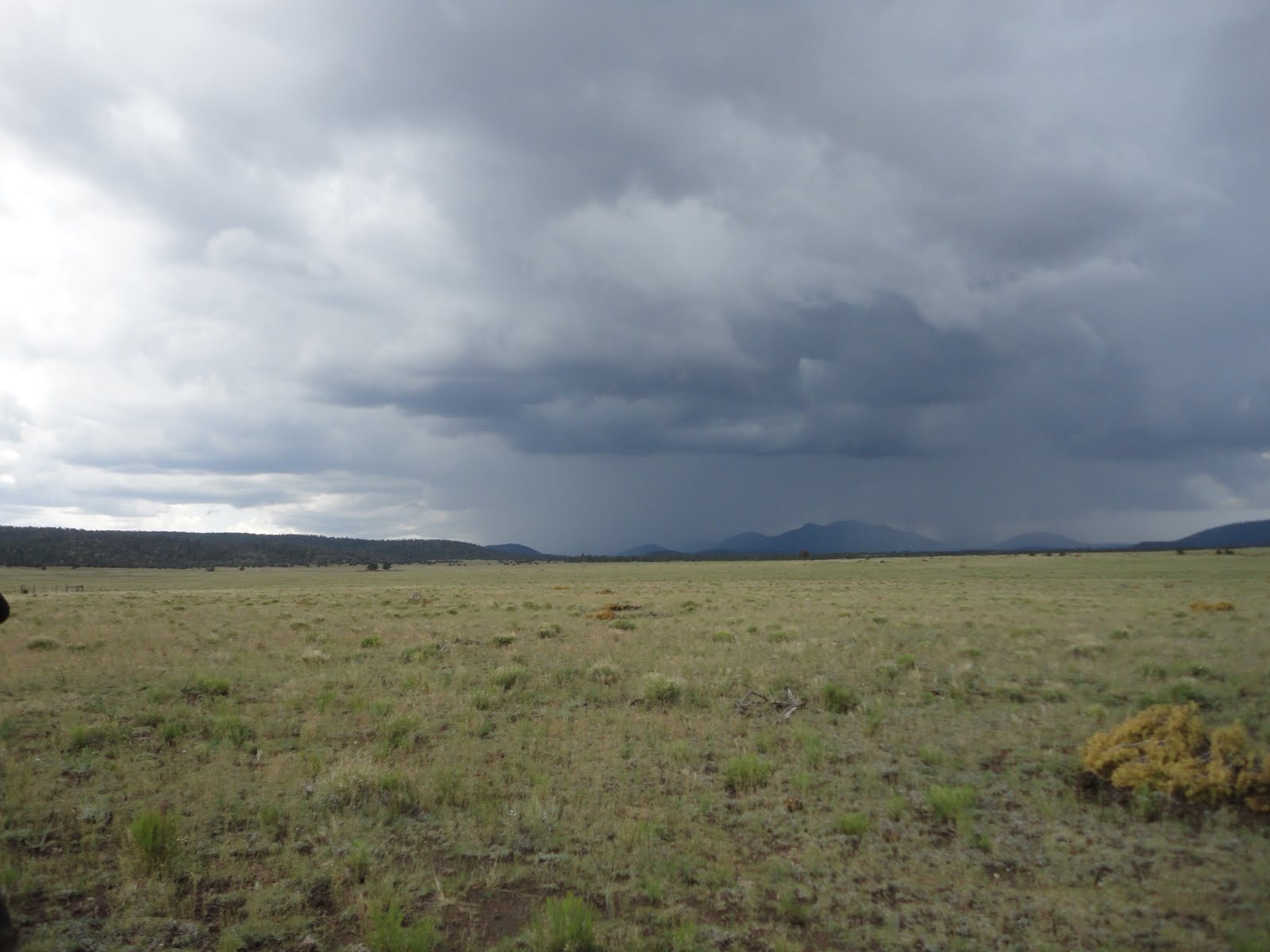 Jay Scott Outdoors Arizona Monsoon Rain