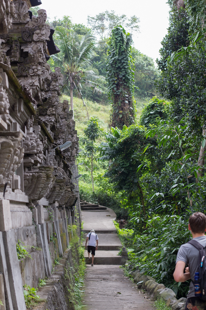 Hovkonditorn: Campuhan Ridge Walk Ubud, Bali