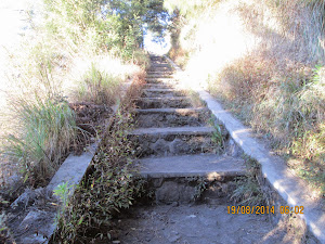 Stairway to "Point Seruni".