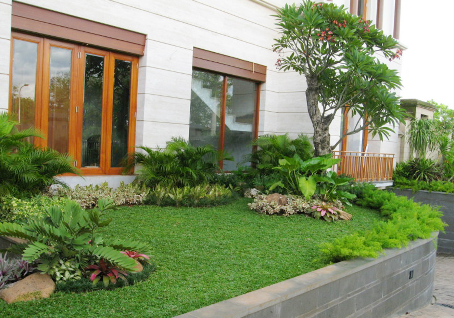 RUMPUT JEPANG | RUMPUT GAJAH MINI | RUMPUT GOLF | RUMPUT BERMUDA