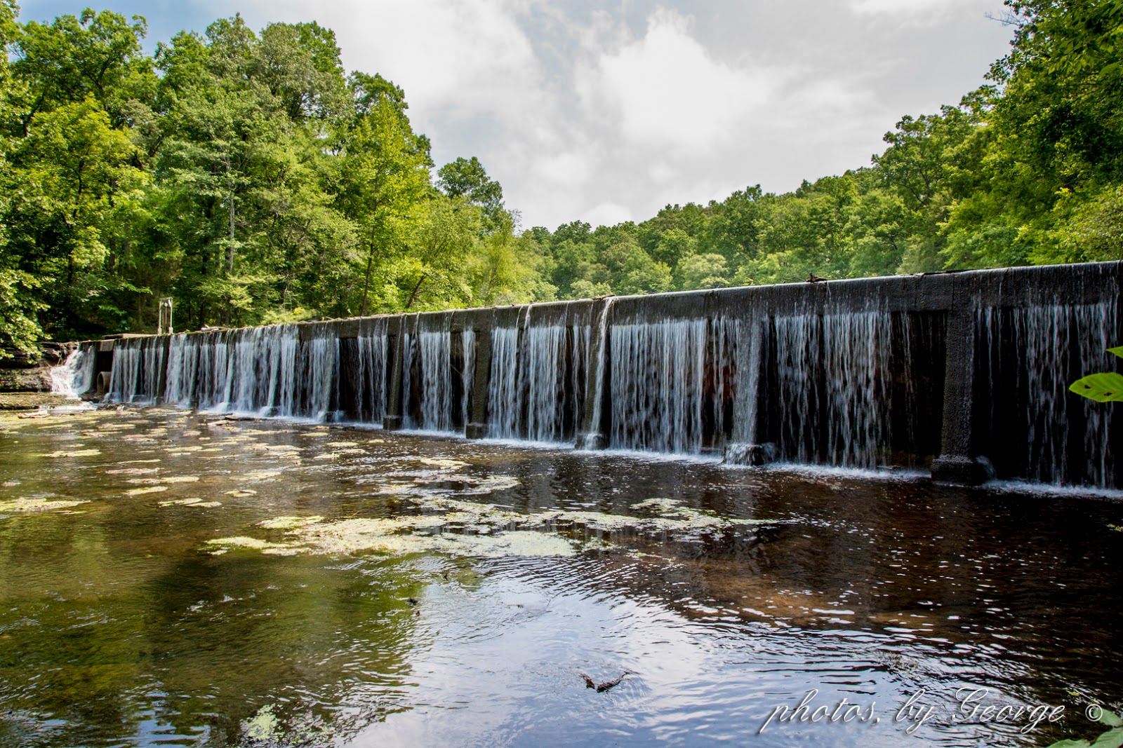 "What's Blooming Now" Old Stone Fort State Archaeological Park in