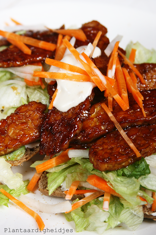 Tempeh teriyaki sandwich met miso veganaise Plantaardigheidjes