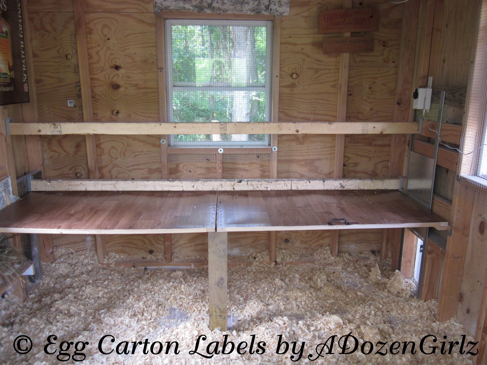 of our new coop. We installed an automatic pop door opener and raised ... of our new coop. We installed an automatic pop door opener and raised ...