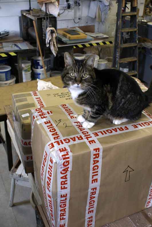 Barnbarroch Pottery Dogs, Cats and Bubble Wrap