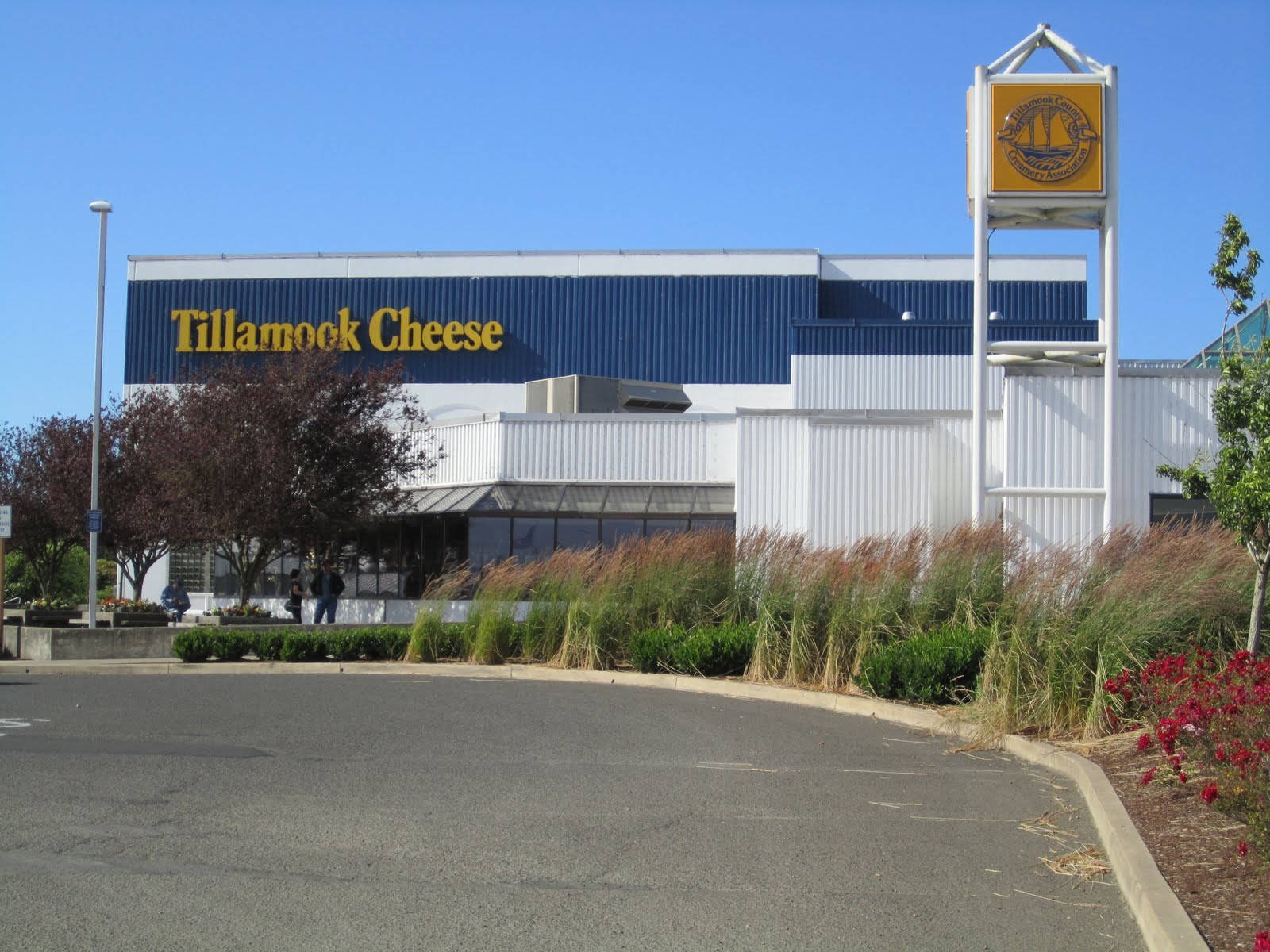 bigblueglobe Yum...Tillamook Cheese!