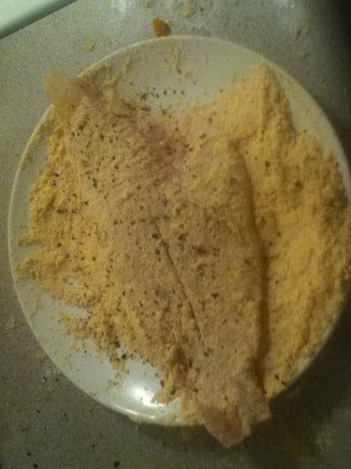 Primal Homeskillet Pan Fried Coconut Catfish