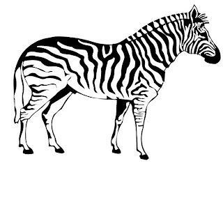 Zebra Coloring Pages