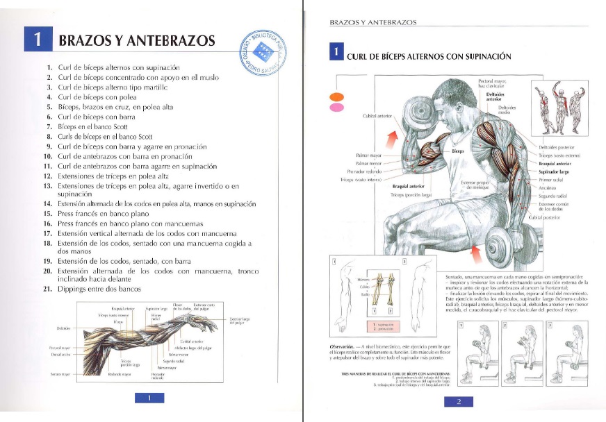 pdf guia de los movimientos de musculacion 5ta edicion