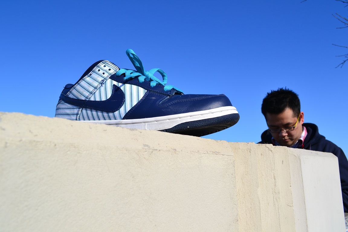 nike sb dunk collection