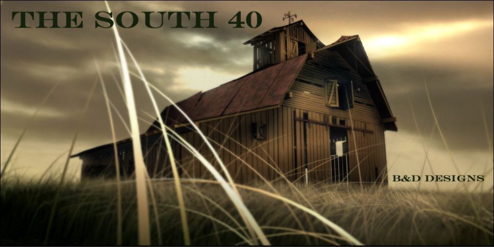 The South 40