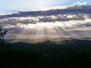 Rayos de luz