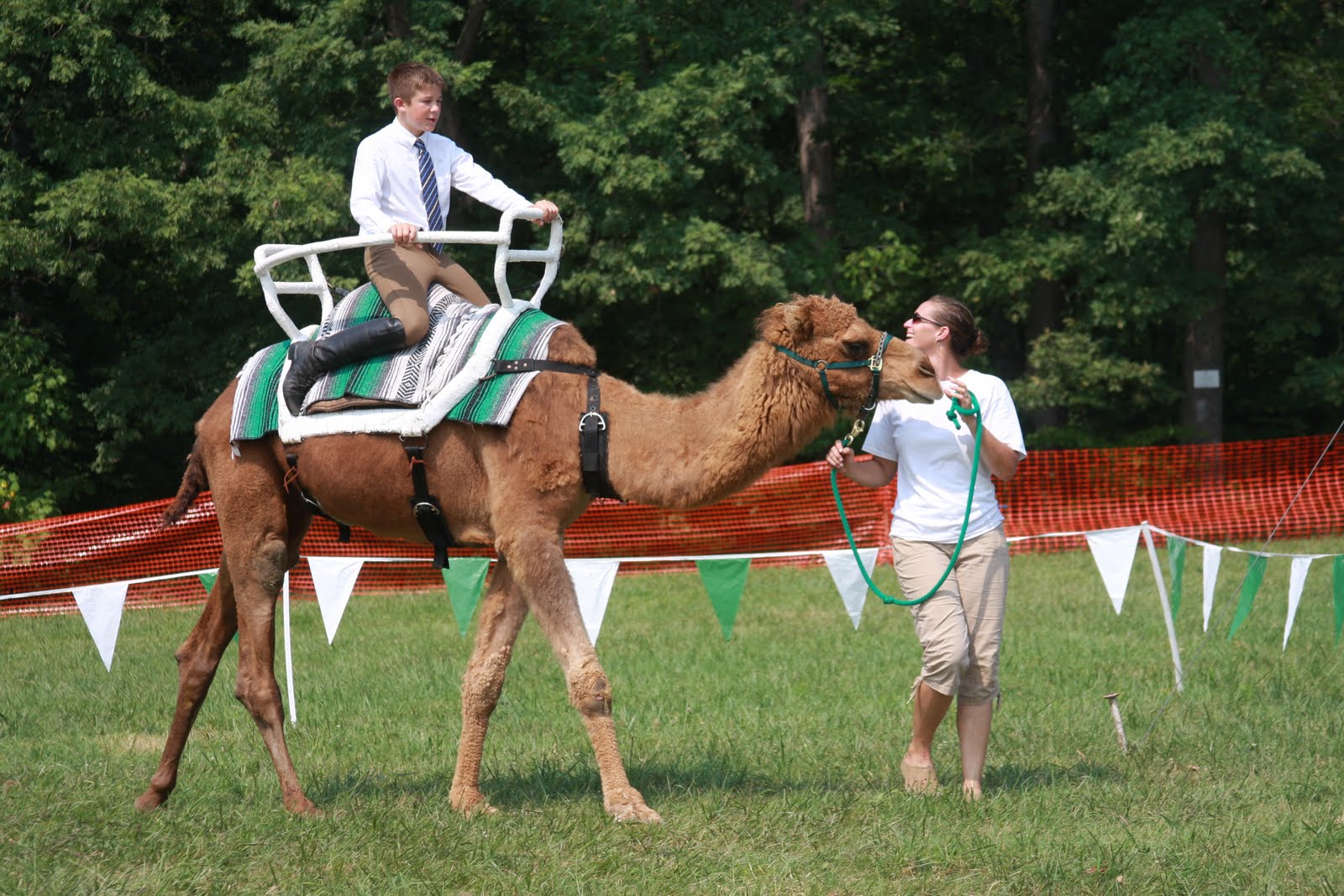 4H in Orange County, VA Orange Fair Horse Show (or Camels) )