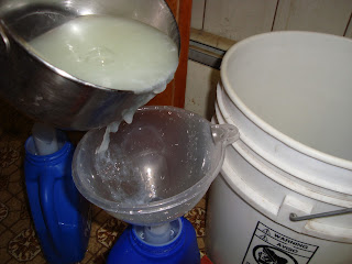 The Glutenless Garden: Meowscellany: Laundry Soap!