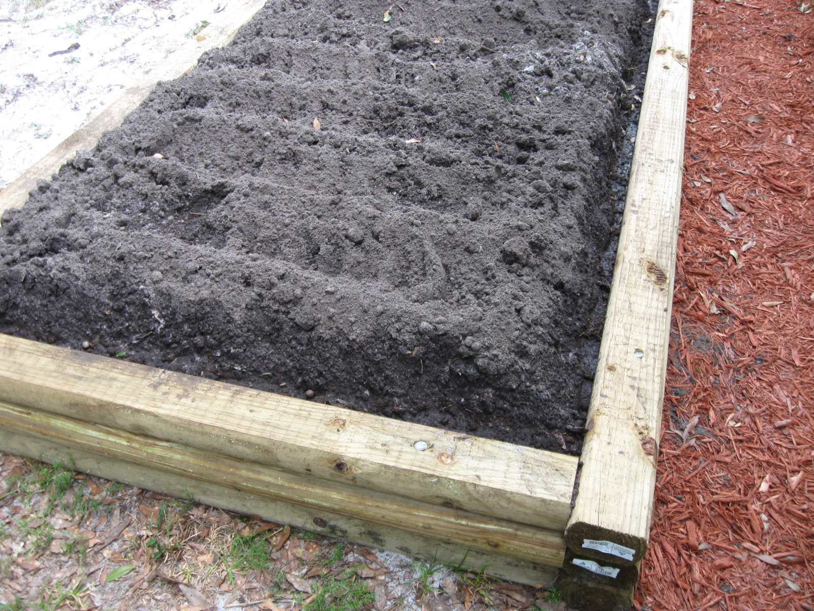 Growing Food in Florida Raised Garden Beds