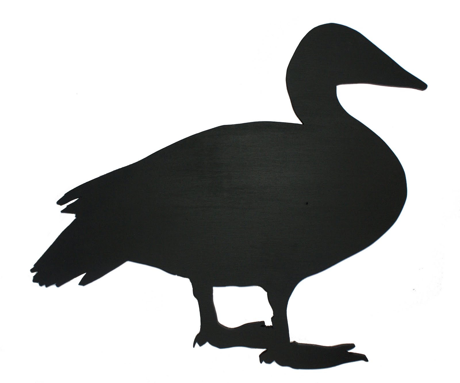 Sophie Warden Illustration The Eider Duck Chalkboard