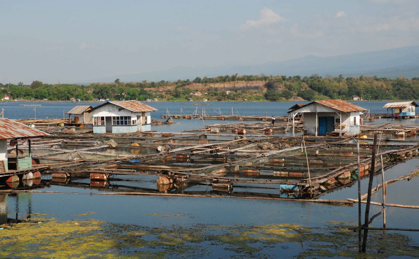 Jurnalis Independen: Misteri Ranu Grati dan Naga Baru Klinting
