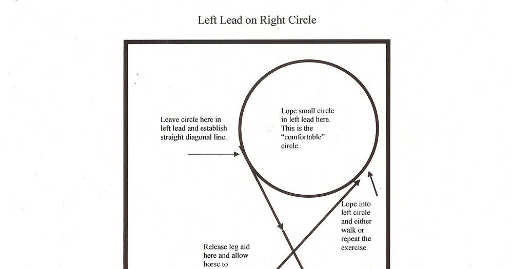 Reining Training Tips The Counter Canter