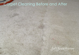 carpet cleaning before and after