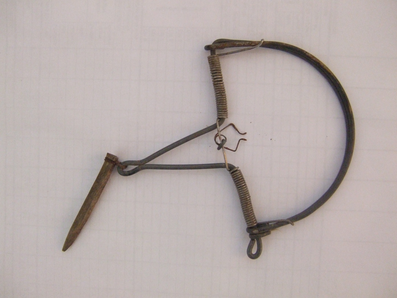 BIÓLOGO Y BECARIO Costillas