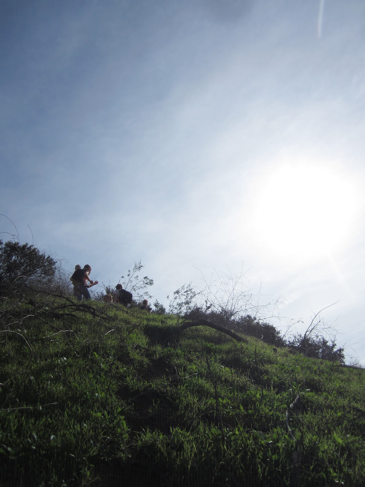 Lilly and the brothers Of Trees and Trails Hellman Wilderness Park