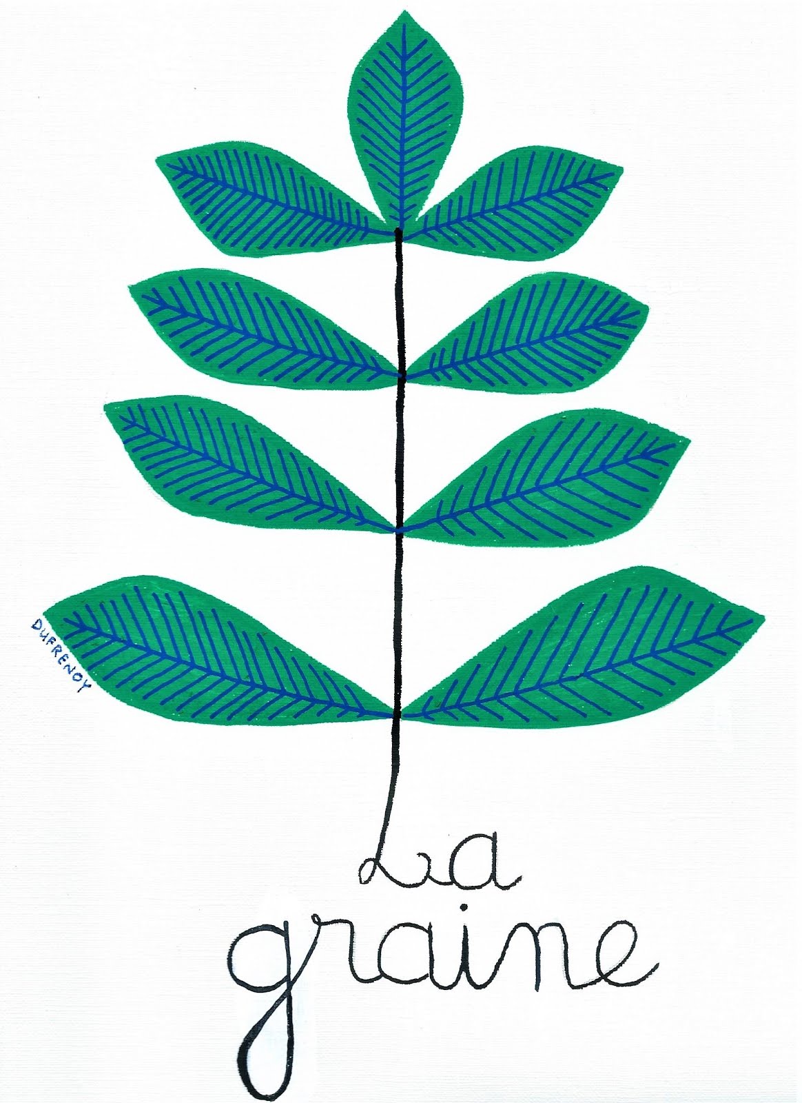 La graine