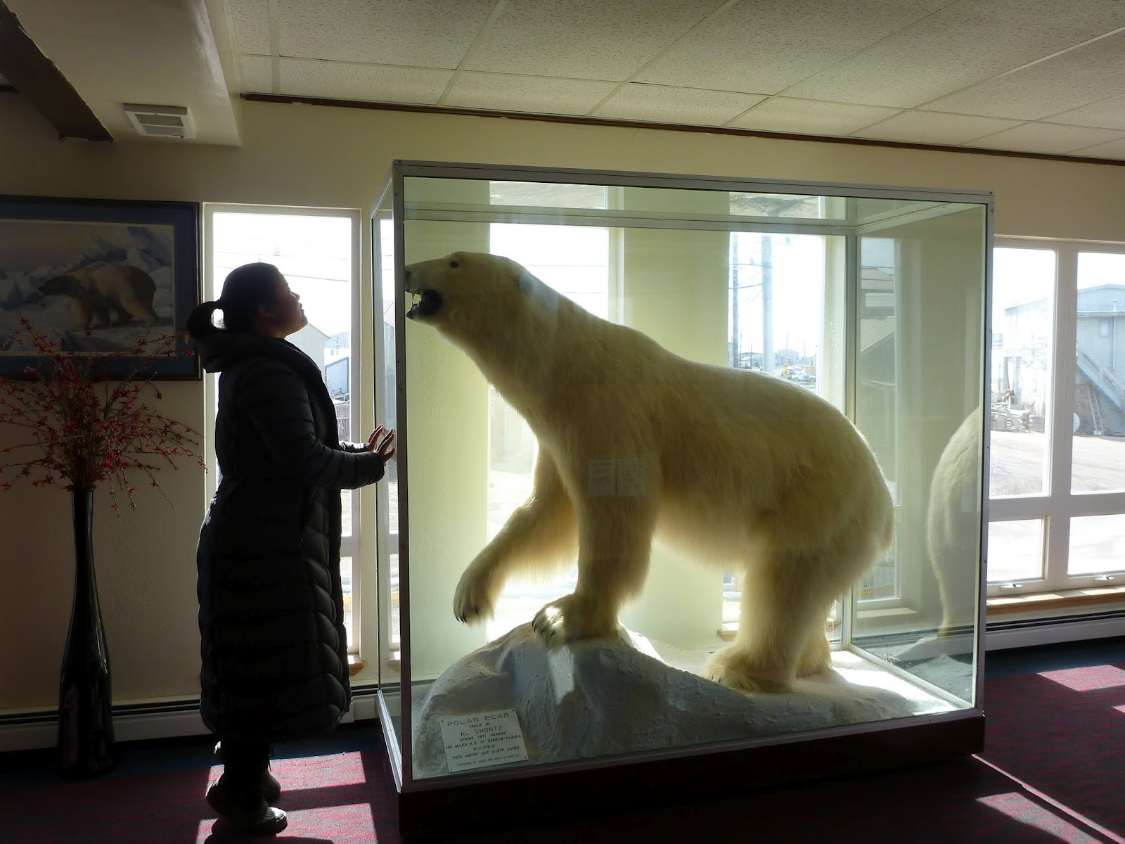 Kimi In Alaska Top Of The World Barrow