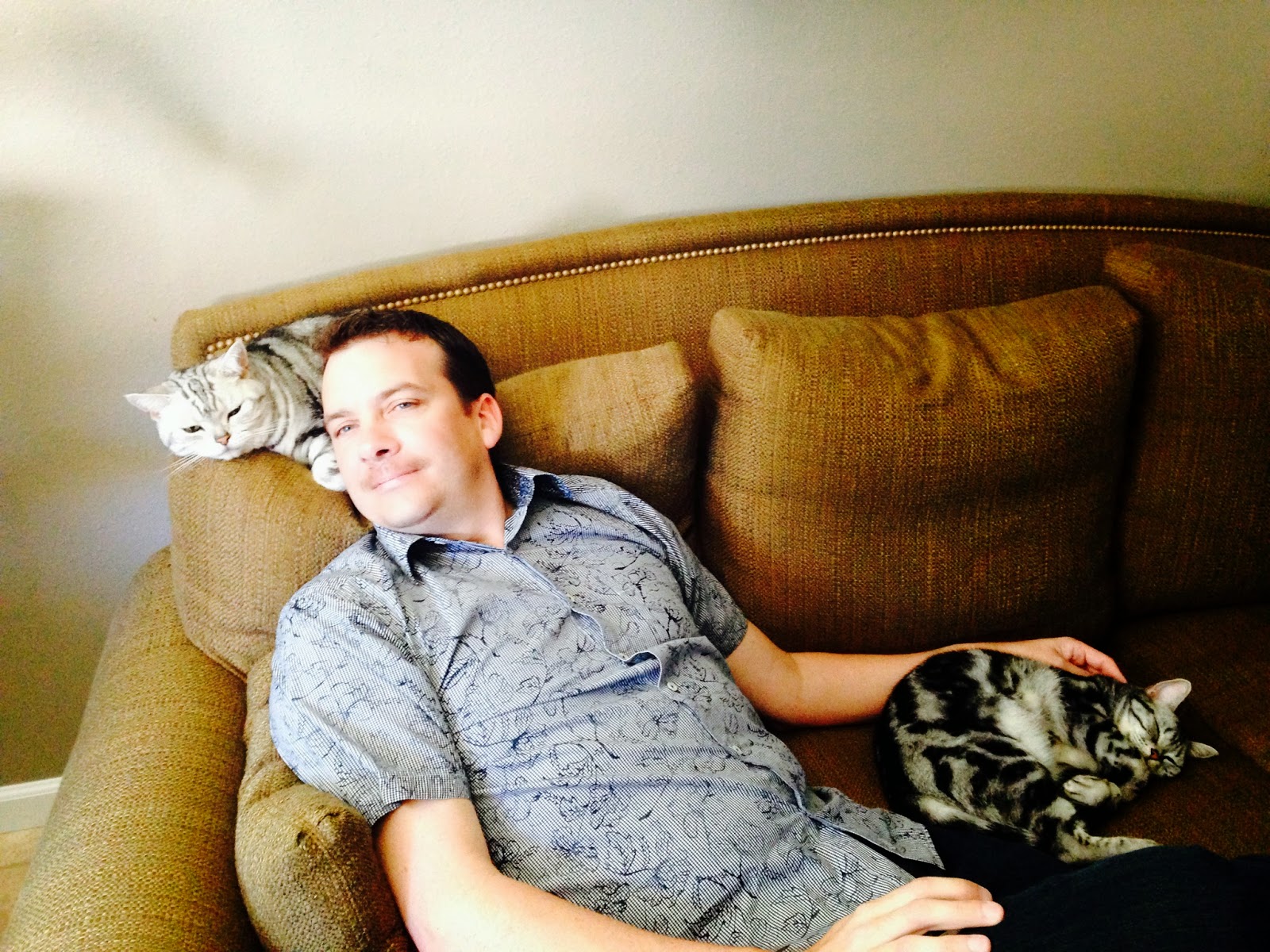 Brass Honey What I've Learned About Living With A Homebody