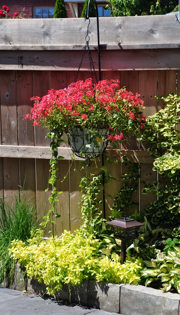 Three Dogs in a Garden: Ideas for Small Outdoor Spaces that can be used