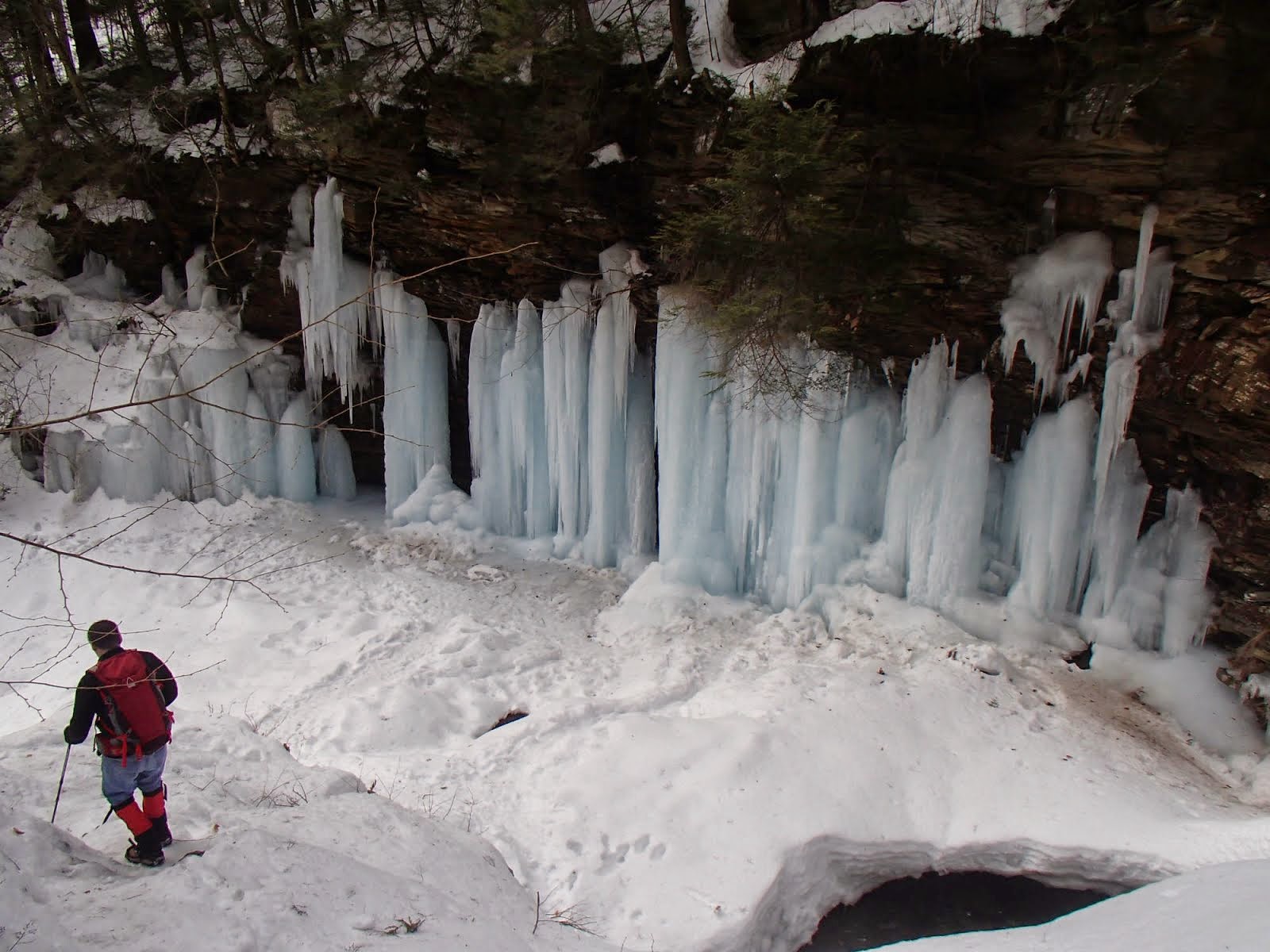 Ricketts Glen in Ice