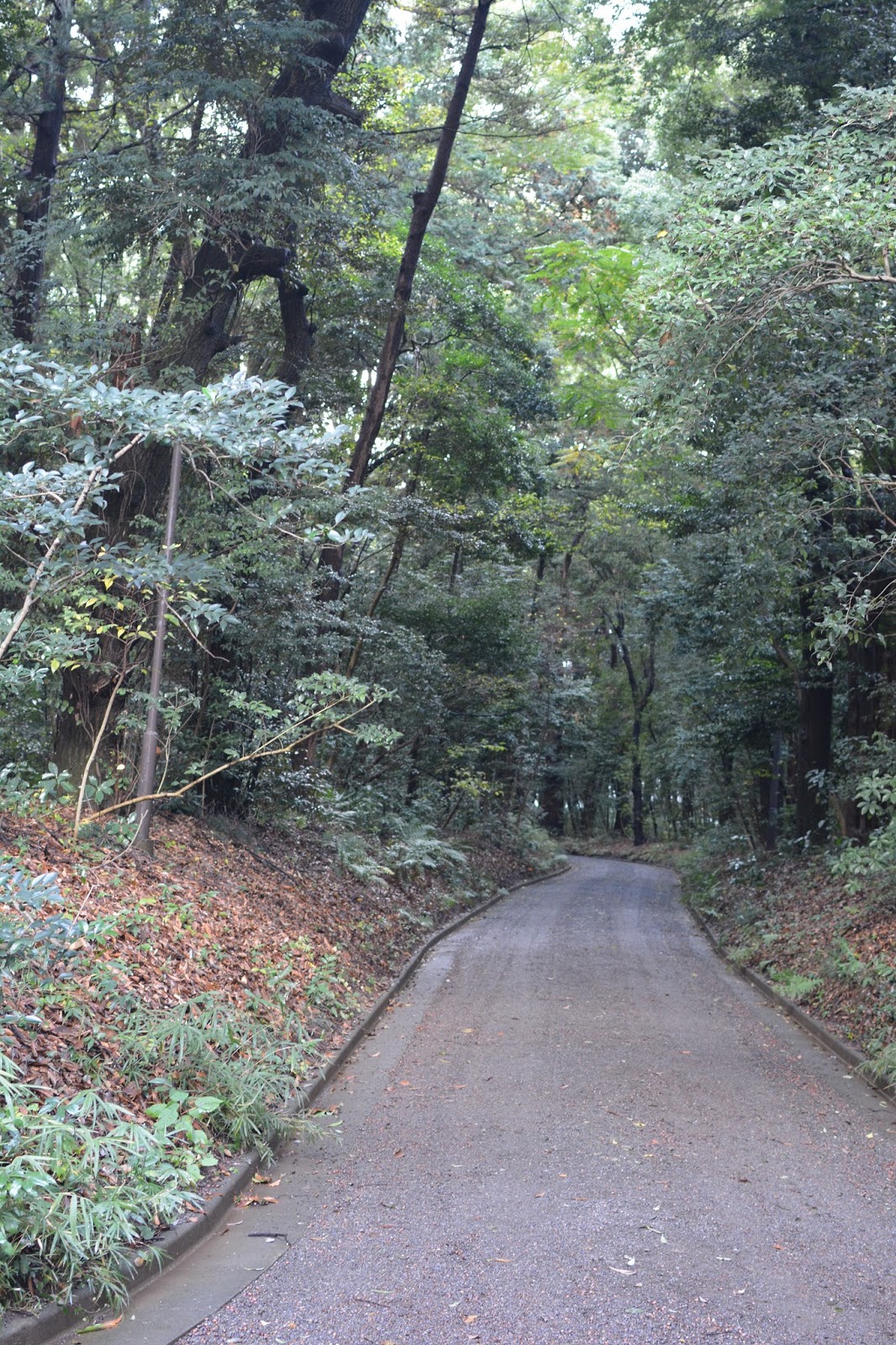 Everywhere you turn, Japan is a pretty picture waiting to be taken.